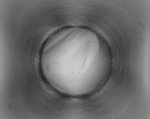 X0000114510592200910190931