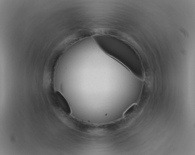 X0000114510593200910190931