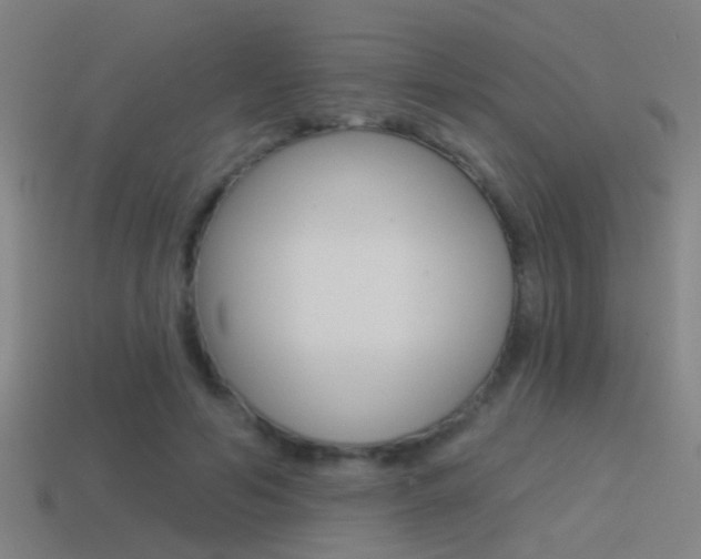 X0000114510594200910190931