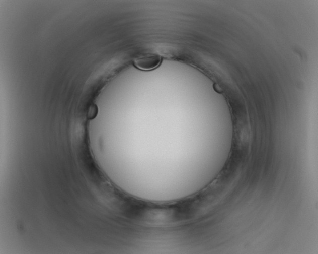 X0000114510595200910190931