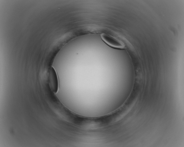 X0000114510597200910190931