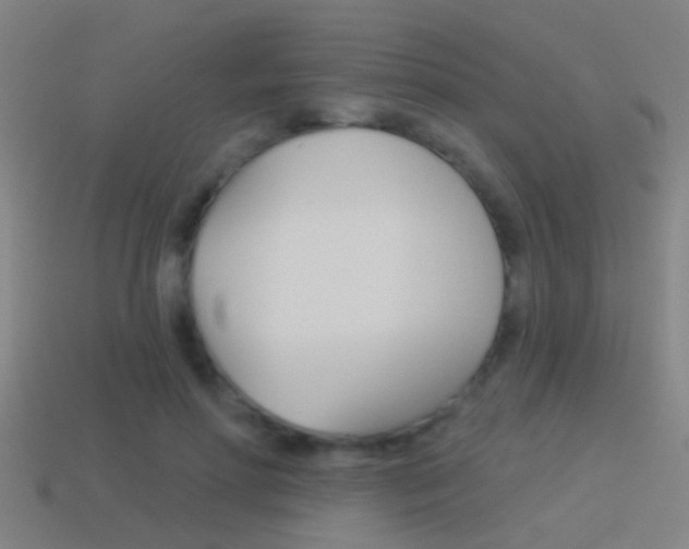 X0000114510598200910190931