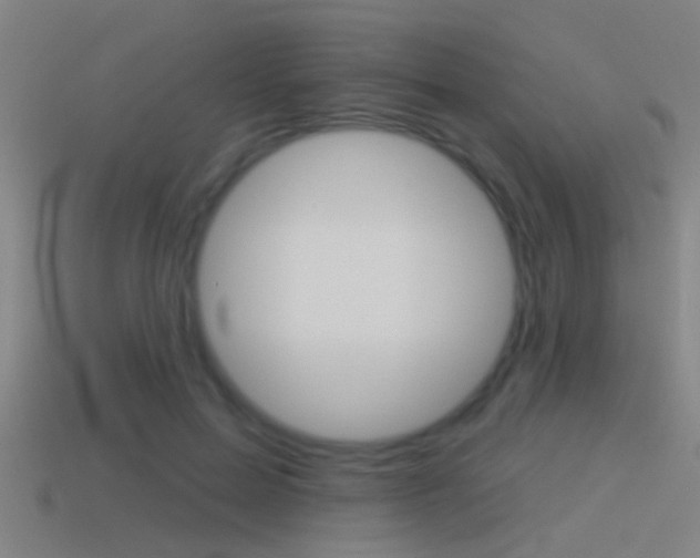 X0000114510599200910190931