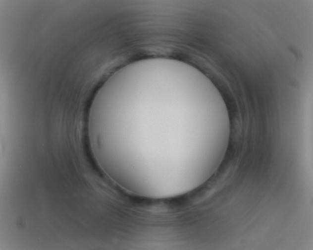 X0000114510600200910190930
