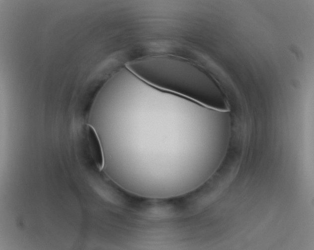 X0000114510601200910190930