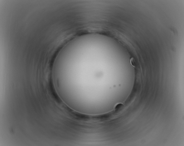 X0000114510604200910190930