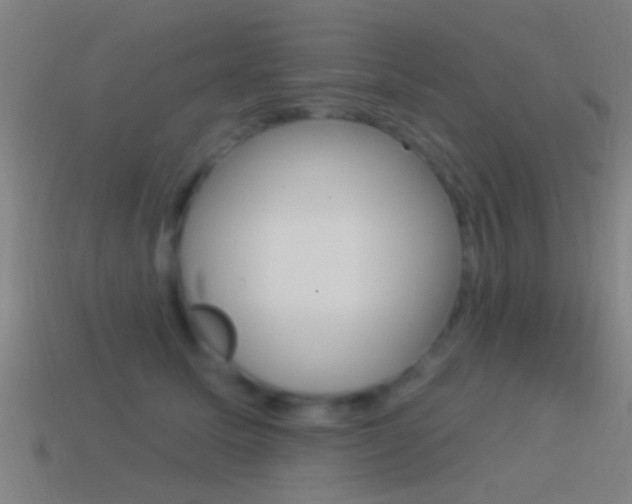 X0000114510611200910190930