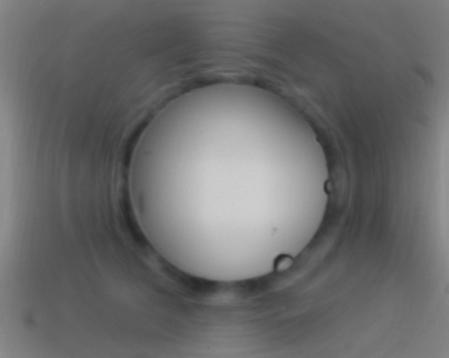 X0000114510612200910190930