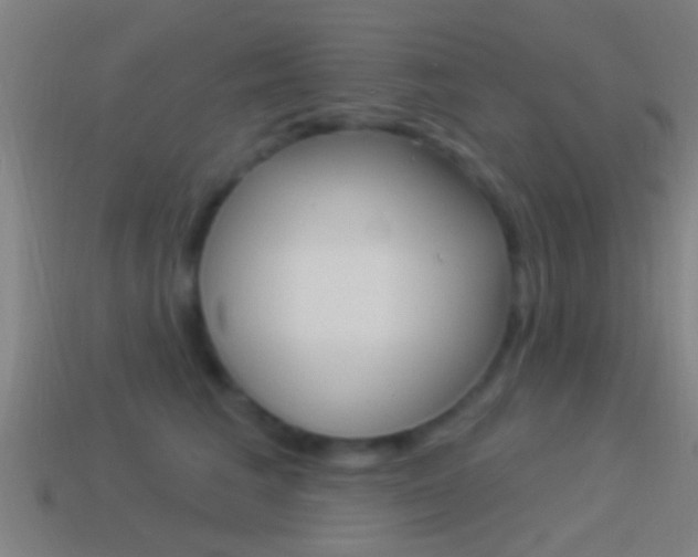 X0000114510613200910190930