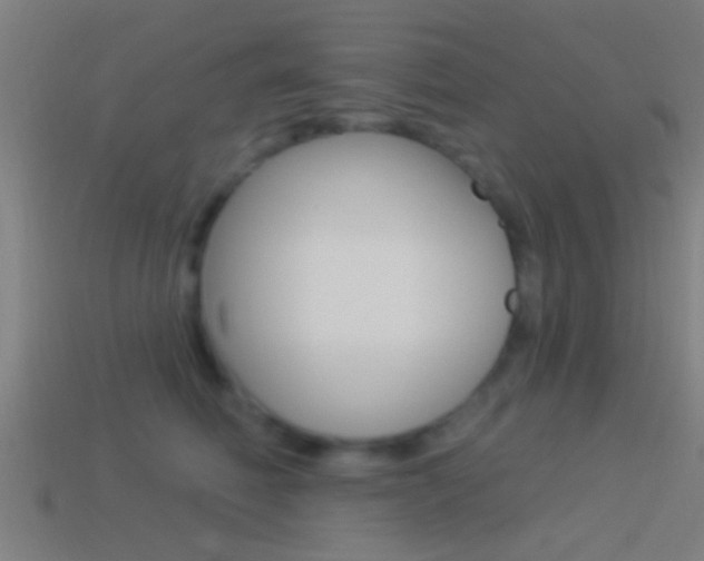 X0000114510614200910190930
