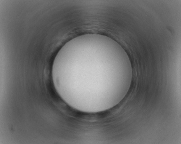 X0000114510615200910190930