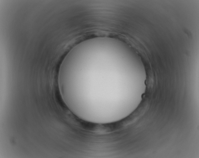 X0000114510616200910190930