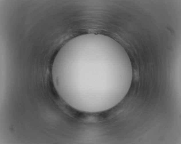 X0000114510618200910190930