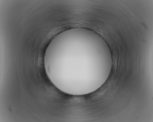 X0000114510619200910190930