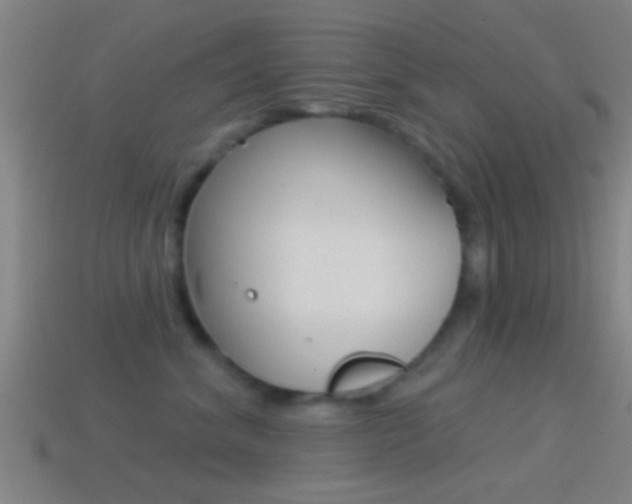X0000114510620200910190930