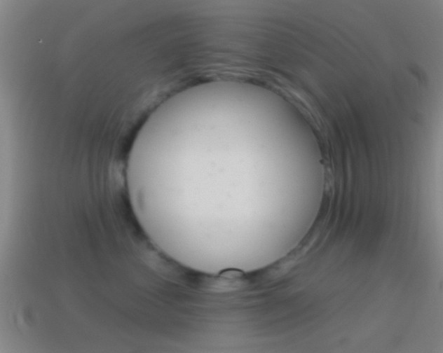 X0000114510621200910190930