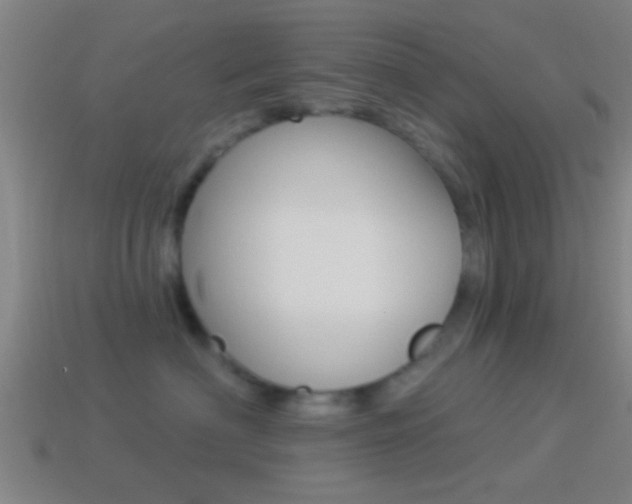 X0000114510622200910190930