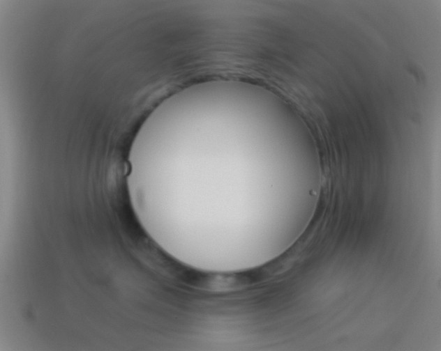 X0000114510623200910190930