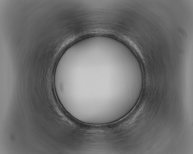 X0000114510625200910190929