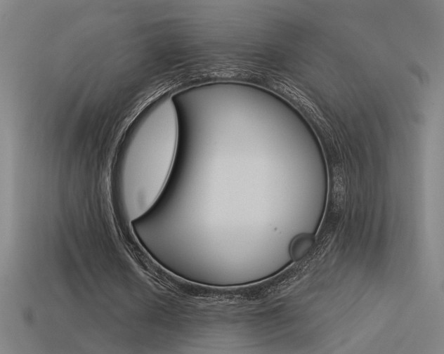 X0000114510626200910190929