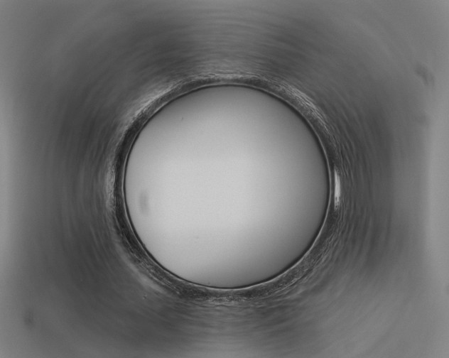 X0000114510627200910190929