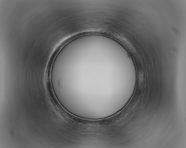 X0000114510628200910190929