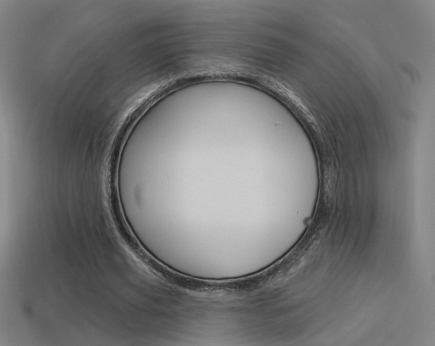 X0000114510629200910190929