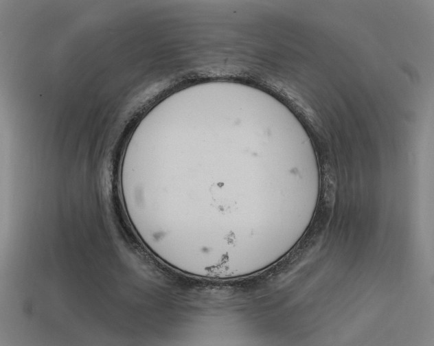 X0000114510631200910190929