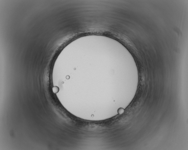 X0000114510632200910190929