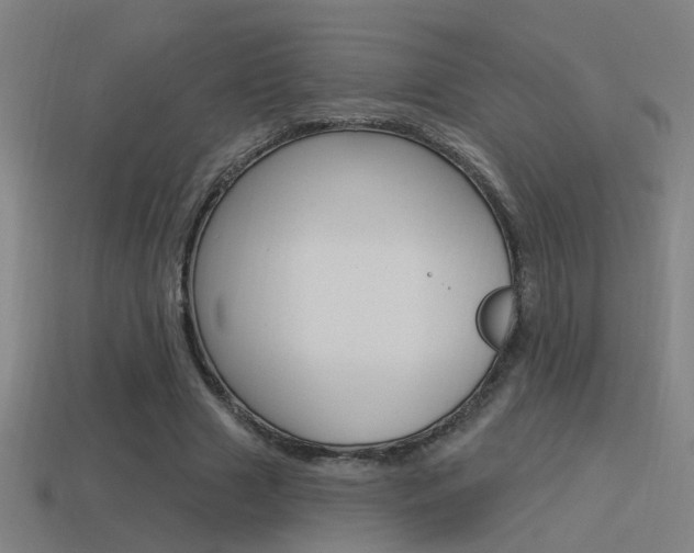 X0000114510633200910190930