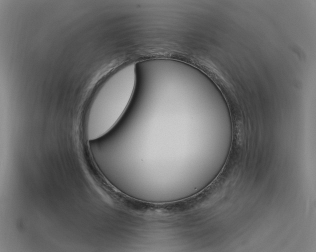 X0000114510634200910190930
