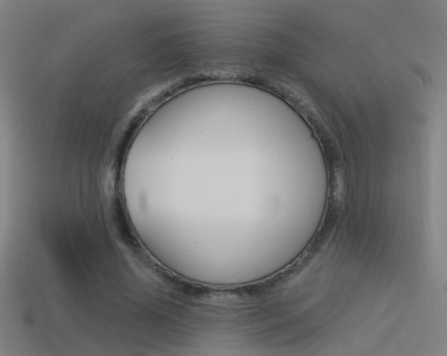 X0000114510636200910190930