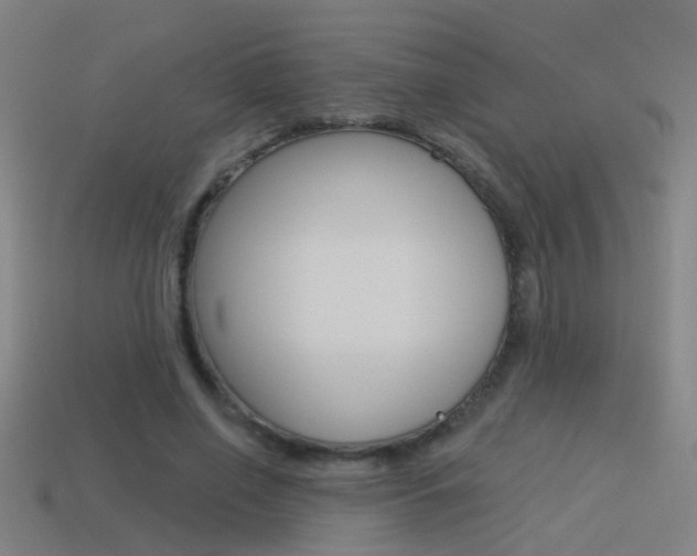 X0000114510638200910190930