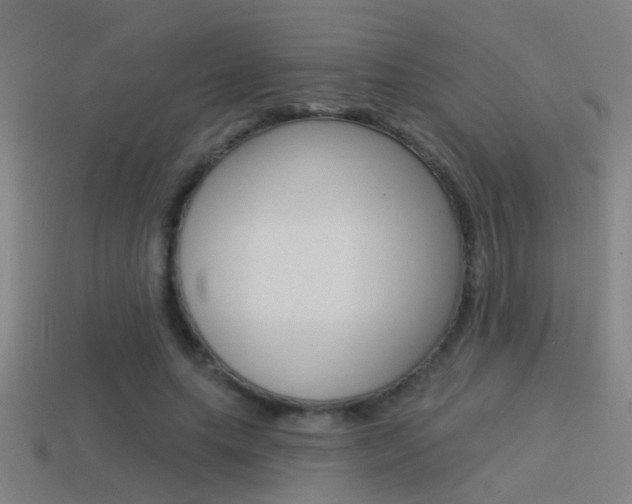 X0000114510639200910190930