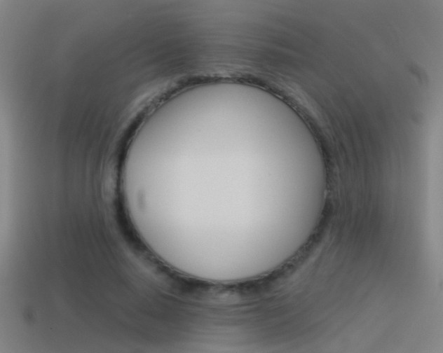 X0000114510640200910190930