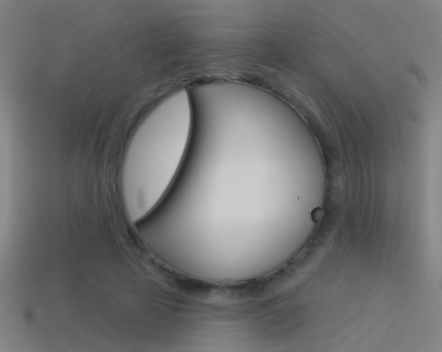 X0000114510641200910190930