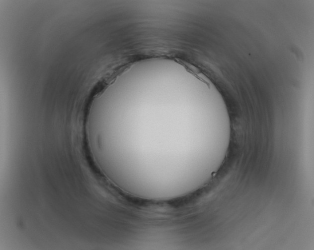 X0000114510642200910190930