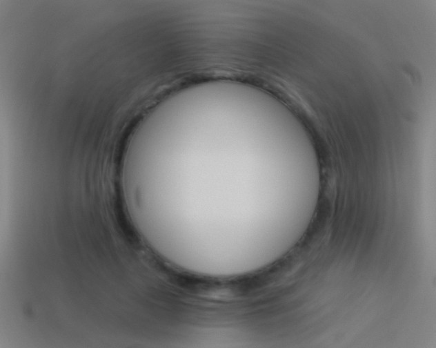 X0000114510643200910190930