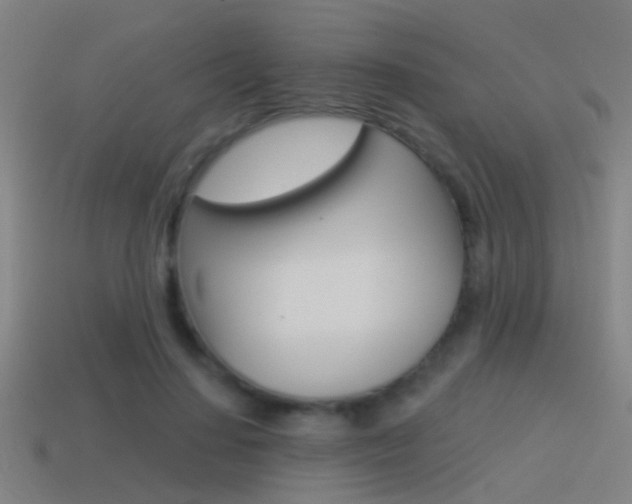 X0000114510644200910190930