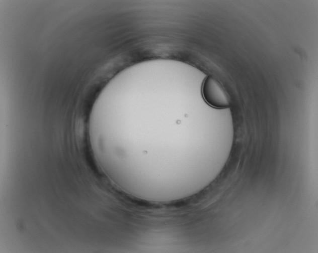 X0000114510646200910190930