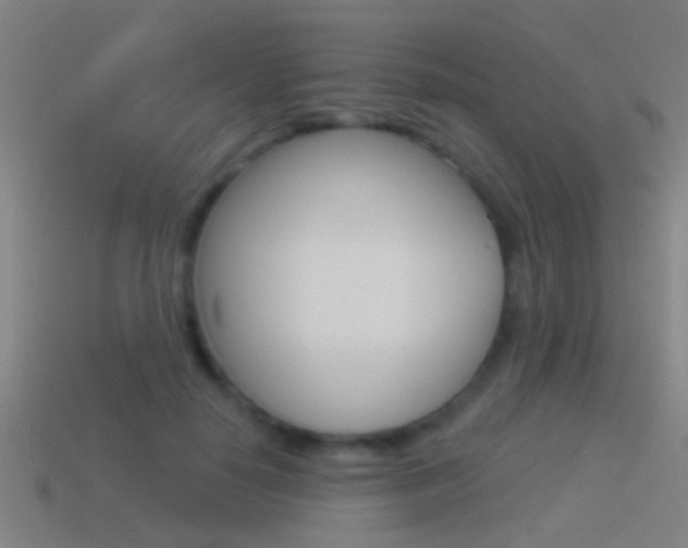 X0000114510650200910190930