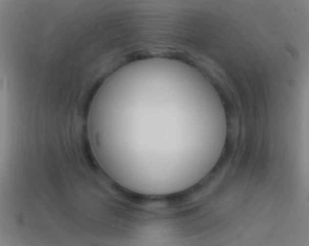 X0000114510653200910190930