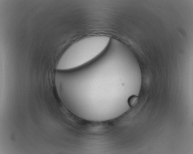 X0000114510661200910190930