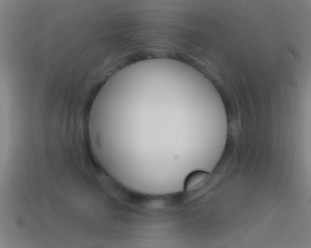 X0000114510662200910190930