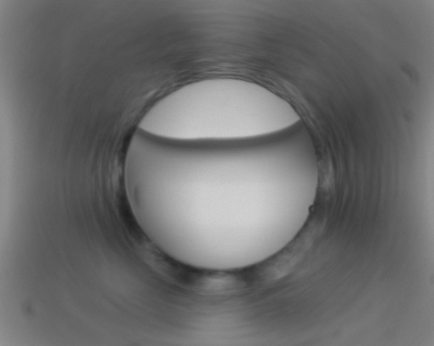 X0000114510669200910190930
