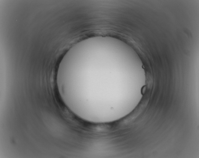 X0000114510670200910190930