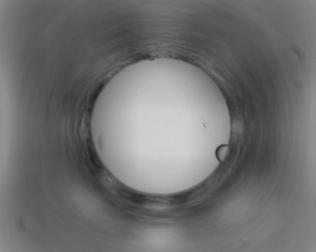 X0000114510671200910190930