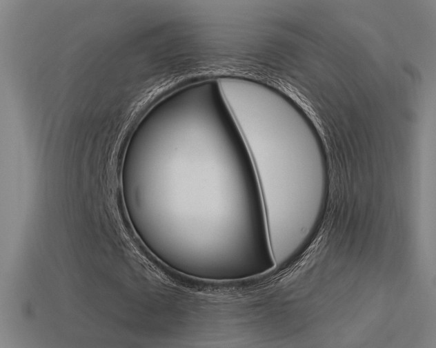 X0000114510673200910190929