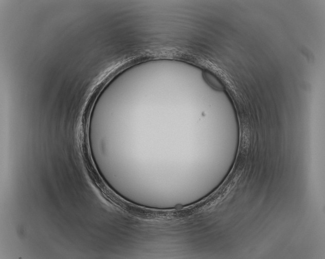 X0000114510674200910190929
