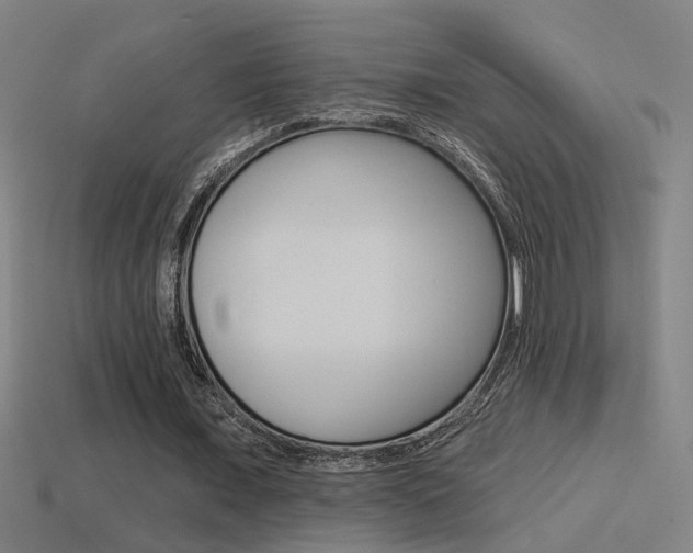 X0000114510675200910190929